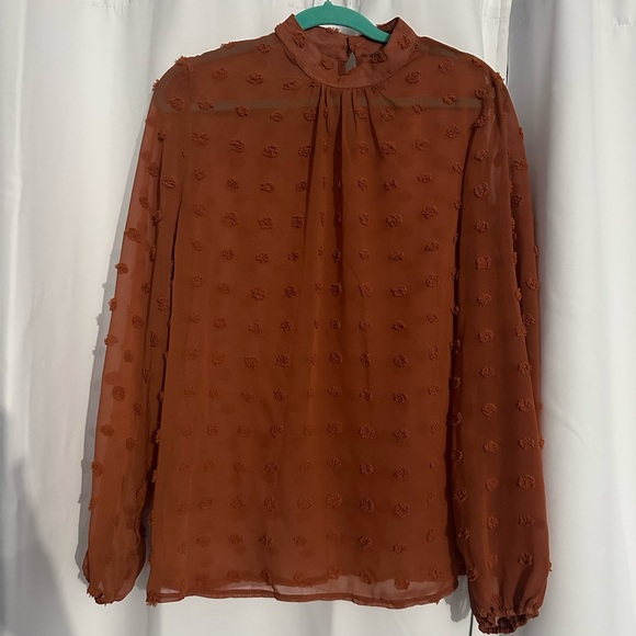 Rust Sheer Blouse - Picture 1 of 1